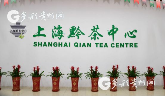 1557018576689012176.jpg 1557018576689012176.jpg