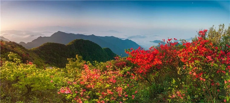 1556612438979080581.jpg 6369212496337297056240957.jpg