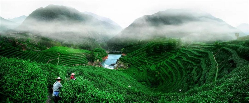 1556612458208049061.jpg 6369212497975299929180775.jpg