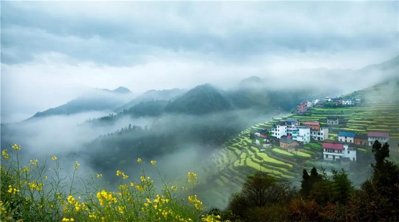 1556612478115042529.jpg 6369212499266982191690825.jpg