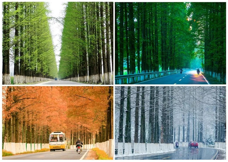 1556612532019083692.jpg 6369212503762910098168131.jpg