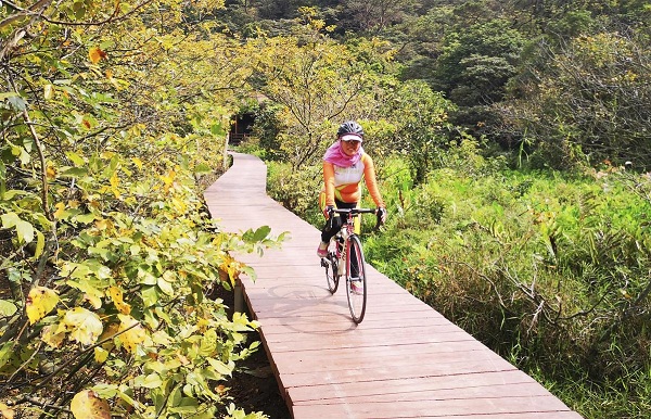 1557019835311079945.jpeg 5ccb9536a3104842e4abbec6.jpeg