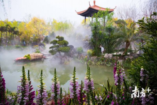 1557019902983040659.jpg 1.jpg