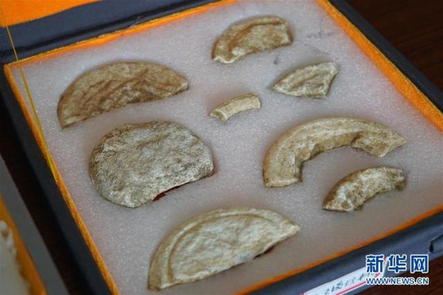 1557279001973096825.png 南阳2.png