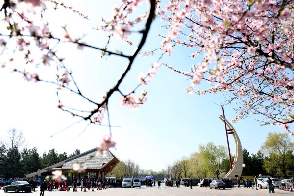 1557278530530008527.jpg 286ed488c82d1e3b939e0e.jpg