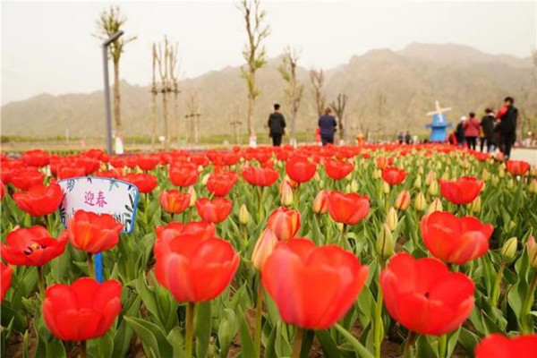 1557302178717081751.jpg 267f9e2f070828388ddab017d7fe16054d08f14e_副本.jpg