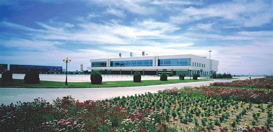 1557302456545093906.jpeg 1555641067488027859.jpeg