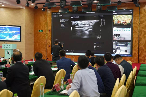 1557279080144089179.jpg 1_副本.jpg