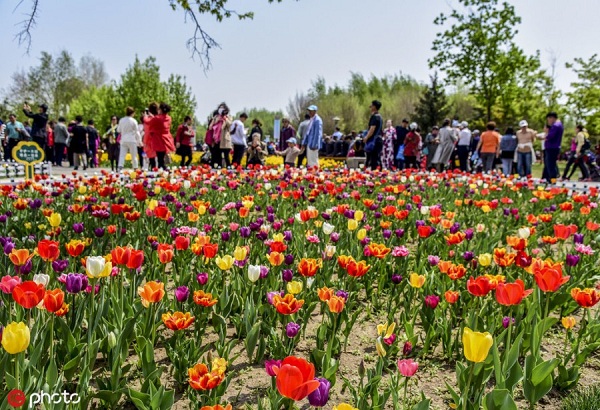 1557388043354009096.jpg 286ed488c82d1e3deafc1b.jpg