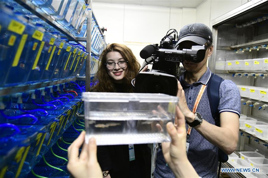 1528530815086069024.jpg 93n.jpg