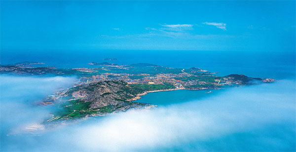 1528513808575064442.jpg 1.jpg