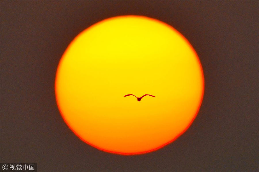 1530521545843099452.jpg 13.jpg