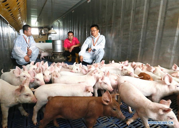 1531223874164018908.jpg 4.jpg