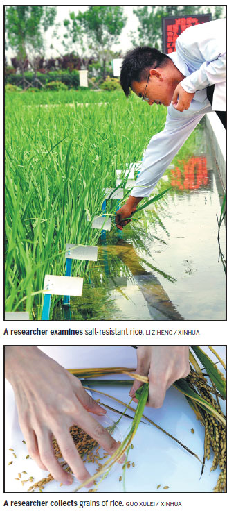 1535630684614084631.jpg 2.jpg