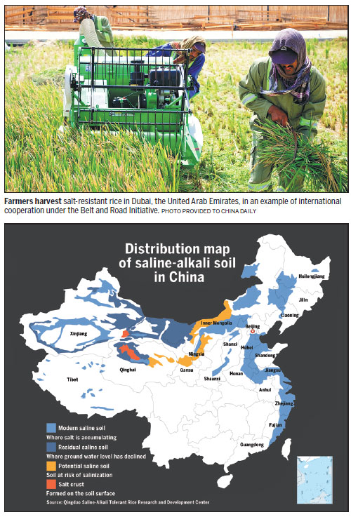 1535630692694055382.jpg 3.jpg