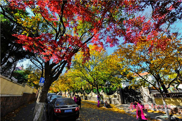 1513307409804071049.jpg 92d0d.jpg