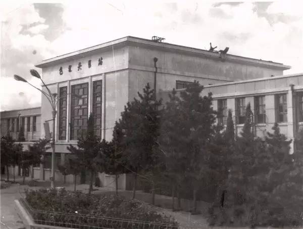 1557736532496087979.jpg 11.jpg