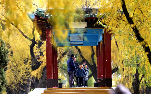 1540433295589002462.jpg 1.jpg