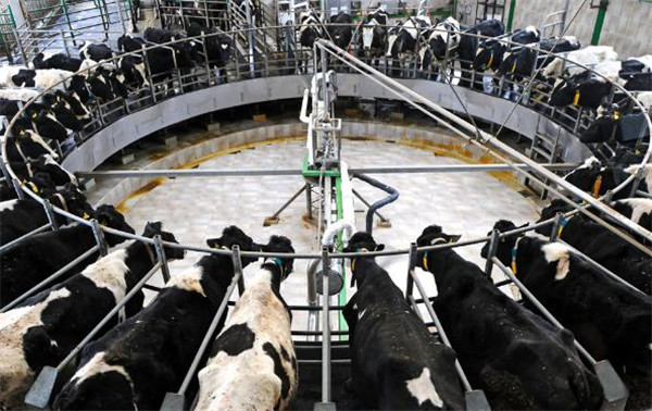 1539051596558068608.jpg 1.jpg