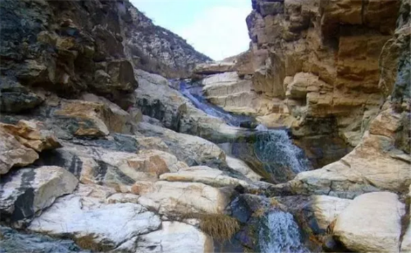 1539760918969030253.png dishuiya.png