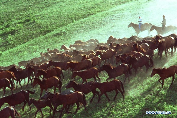 1544403878763009434.jpg 17.jpg