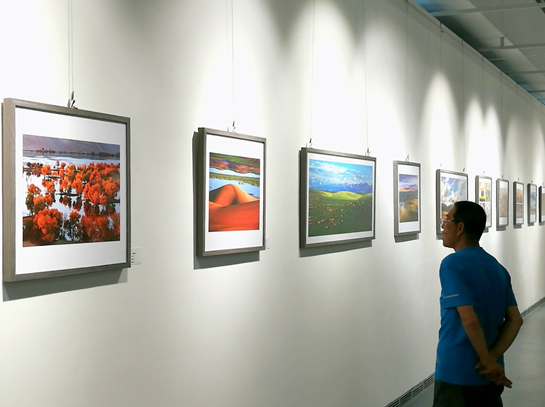 1531796351732023796.png 看.png