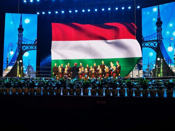 1531877586786042229.jpg 02.jpg