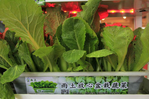 1521451145857010484.jpg 农业3.jpg