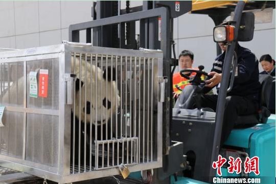 1524476075436095278.png 01.png