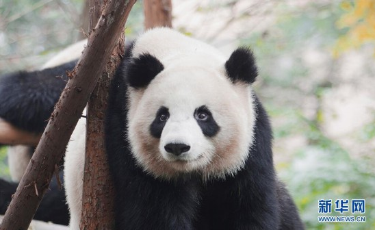 1524476100711096127.png 02.png