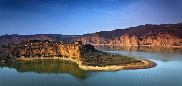 1524905964338055420.jpg 老牛.jpg