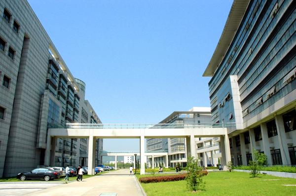 1450342550601030704.jpg 02.jpg