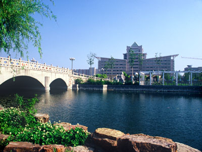 1450229765078010934.jpg 900119e00b1e46b5964ad9fbea96472d.jpg