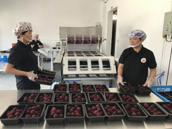 1556276336758082132.jpg 2.jpg