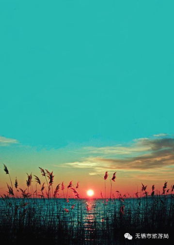 1557798398712029458.jpg 286ed488c7ce16ea0f5450.jpg