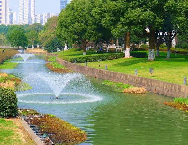 1557881820680040234.jpg 河流.jpg