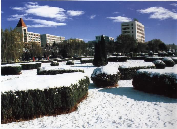 1524114588586083830.jpg 1524114588586083830.jpg