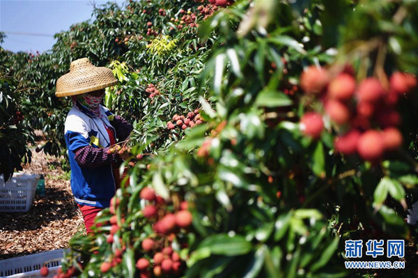 1557993349661041596.jpg l2_副本.jpg