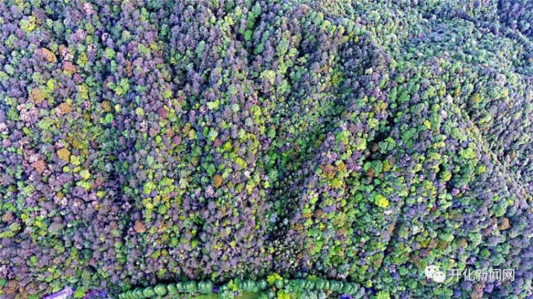 1557909316331002890.jpg 6369342738771049027952130.jpg