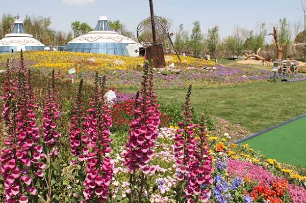 1558052509810015088.jpeg spotlight2.jpeg