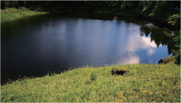 1558309246395024157.png 4_副本.png