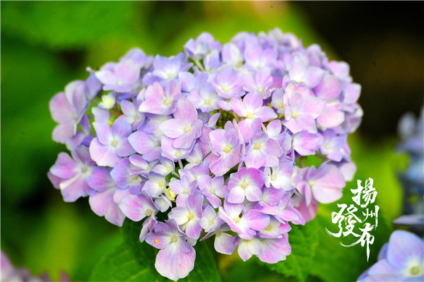 1558317037529043596.jpg 1557971353725047667.jpg