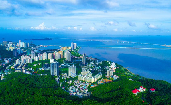 1558057642588048707.jpg 1_副本.jpg