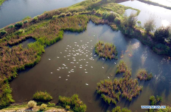 1558343475077012050.jpg v1_副本.jpg