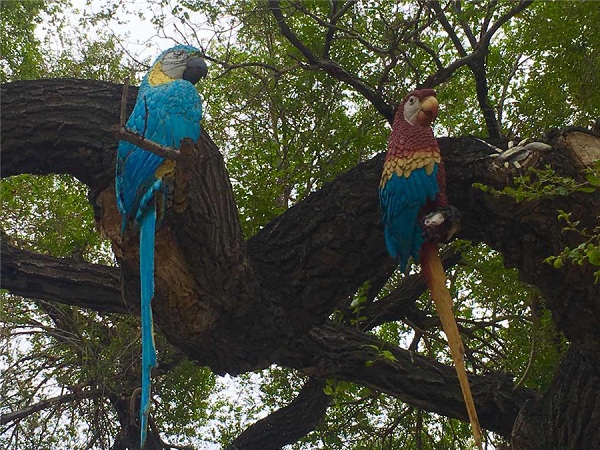 1558427102776024149.jpg 5ce3a64ba3104842e4aeb8f0.jpg