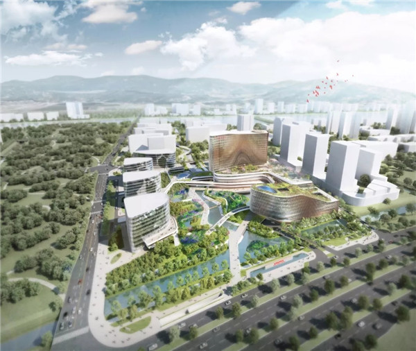 1558489139639036568.jpg 640.webp (2).jpg