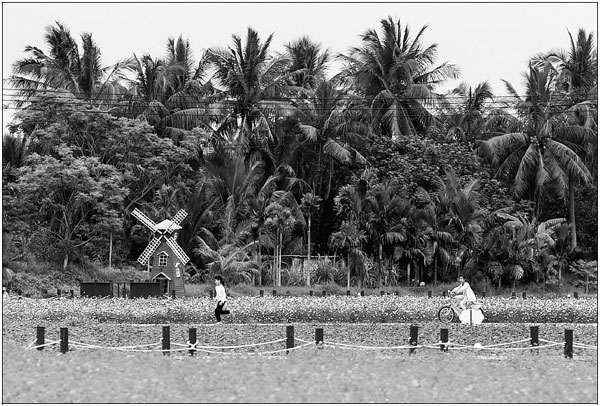 1558664735220008142.jpg j1.jpg