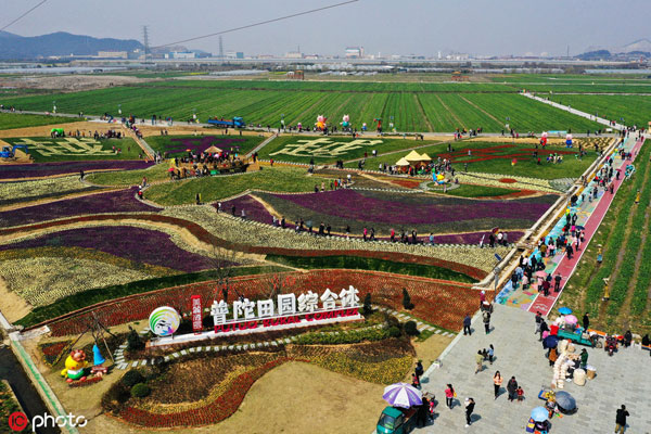 1558688848953044849.jpg 普陀田园综合体.jpg