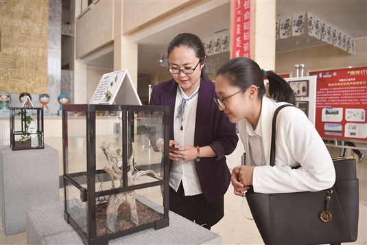 1559206433886075914.jpg res04_attpic_brief (2).jpg