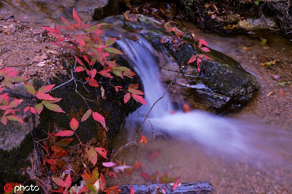 1559290533645040812.jpg 拉法山2.jpg